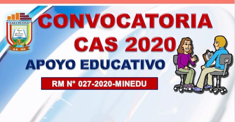 cas apoyo 2020