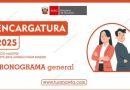 RESULTADO PRELIMINAR DEL PROCESO DE ENCARGATURA EN CARGOS DE MAYOR RESPONSABILIDAD PARA EL AÑO ESCOLAR – 2025 – SEGUNDA ETAPA : ENCARGATURA REGULAR FASE I Y II -AMBITO UGEL SAN ANTONIO DE PUTINA