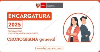 RESULTADO PRELIMINAR DEL PROCESO DE ENCARGATURA EN CARGOS DE MAYOR RESPONSABILIDAD PARA EL AÑO ESCOLAR – 2025 – SEGUNDA ETAPA : ENCARGATURA REGULAR FASE I Y II -AMBITO UGEL SAN ANTONIO DE PUTINA